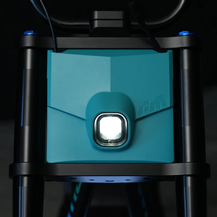 Antic Faceplate - Image 11